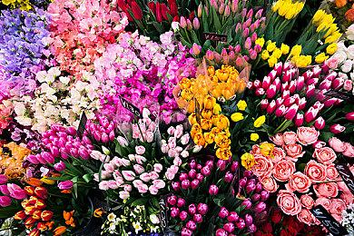 传索尼又一款即时服务游戏《Fairgames》被取消